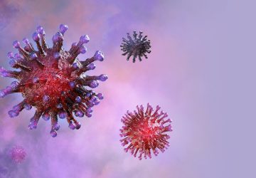 coronavirus - sequencia didatica para ensino medio e fundamental - Carolina Brandão - InfoGeekie
